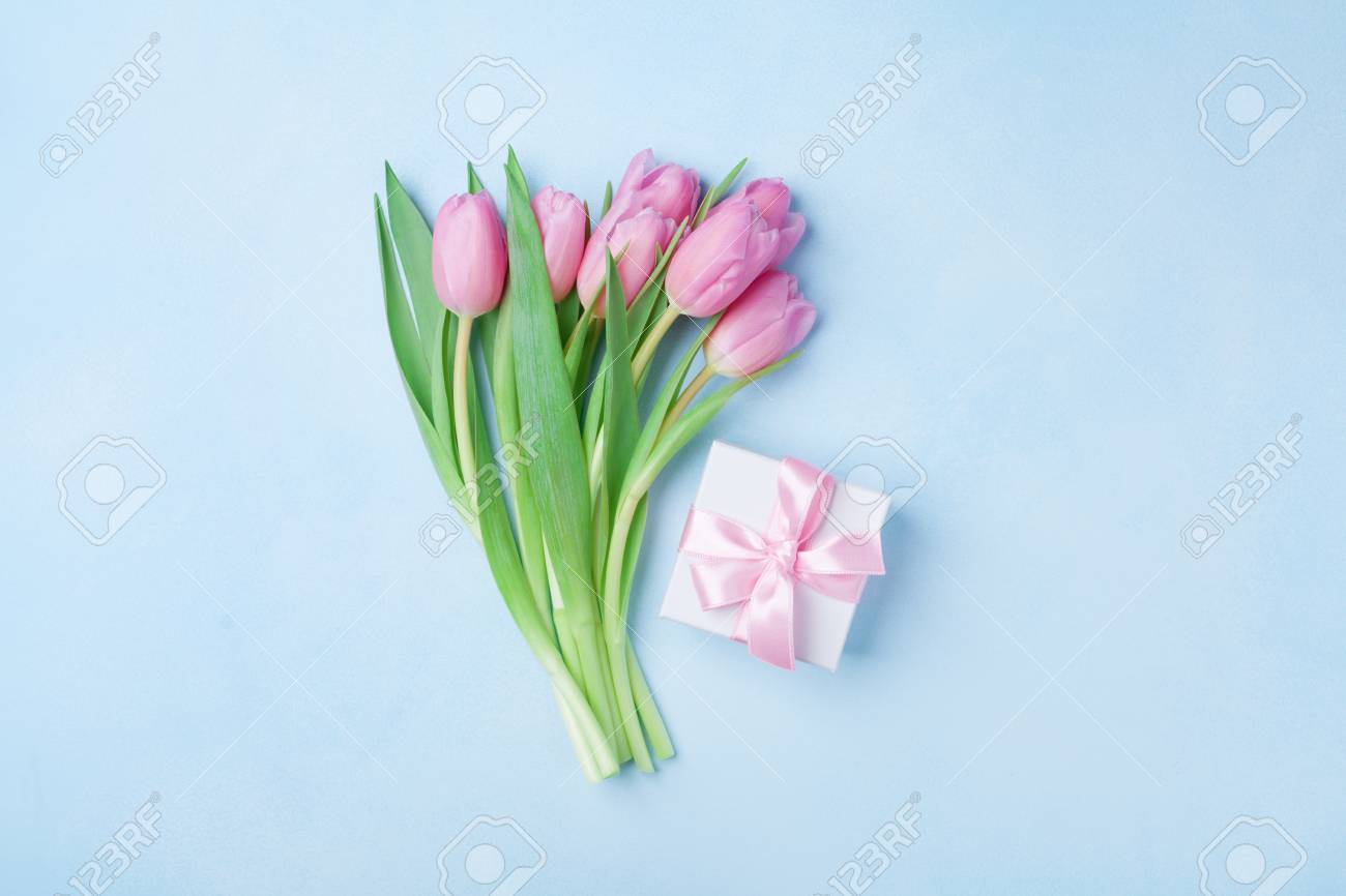 Spring tulip flowers and gift box on blue pastel table top view. Greeting card for Birthday, Womans or Mothers Day. Flat lay. - 95246028 Spring tulip flowers and gift box on blue pastel table top view. Greeting card for Birthday, Womans or Mothers Day. Flat lay. - 95246028