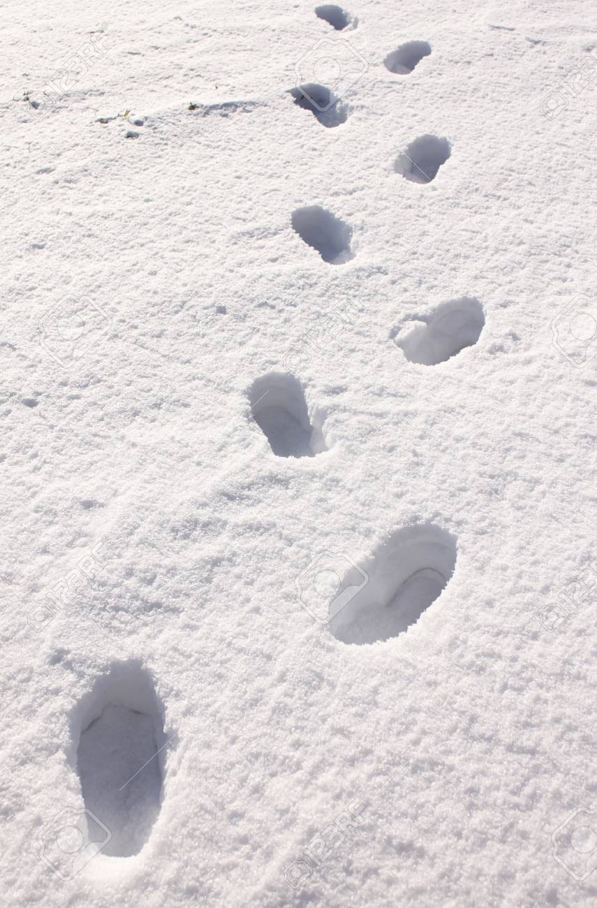 Traces Dans Le Fond De Neige Hiver Avec Des Empreintes De Pas Fraiches Dans La Neige Banque D Images Et Photos Libres De Droits Image