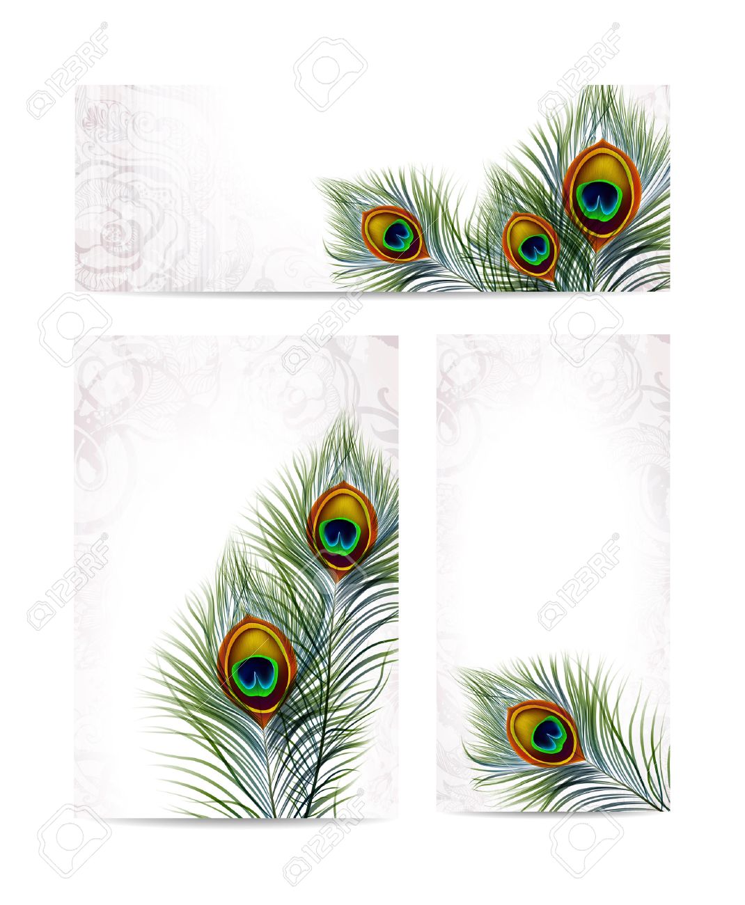 Beautiful vector peacock feathers on retro background with space for text. - 28054980 Beautiful vector peacock feathers on retro background with space for text. - 28054980