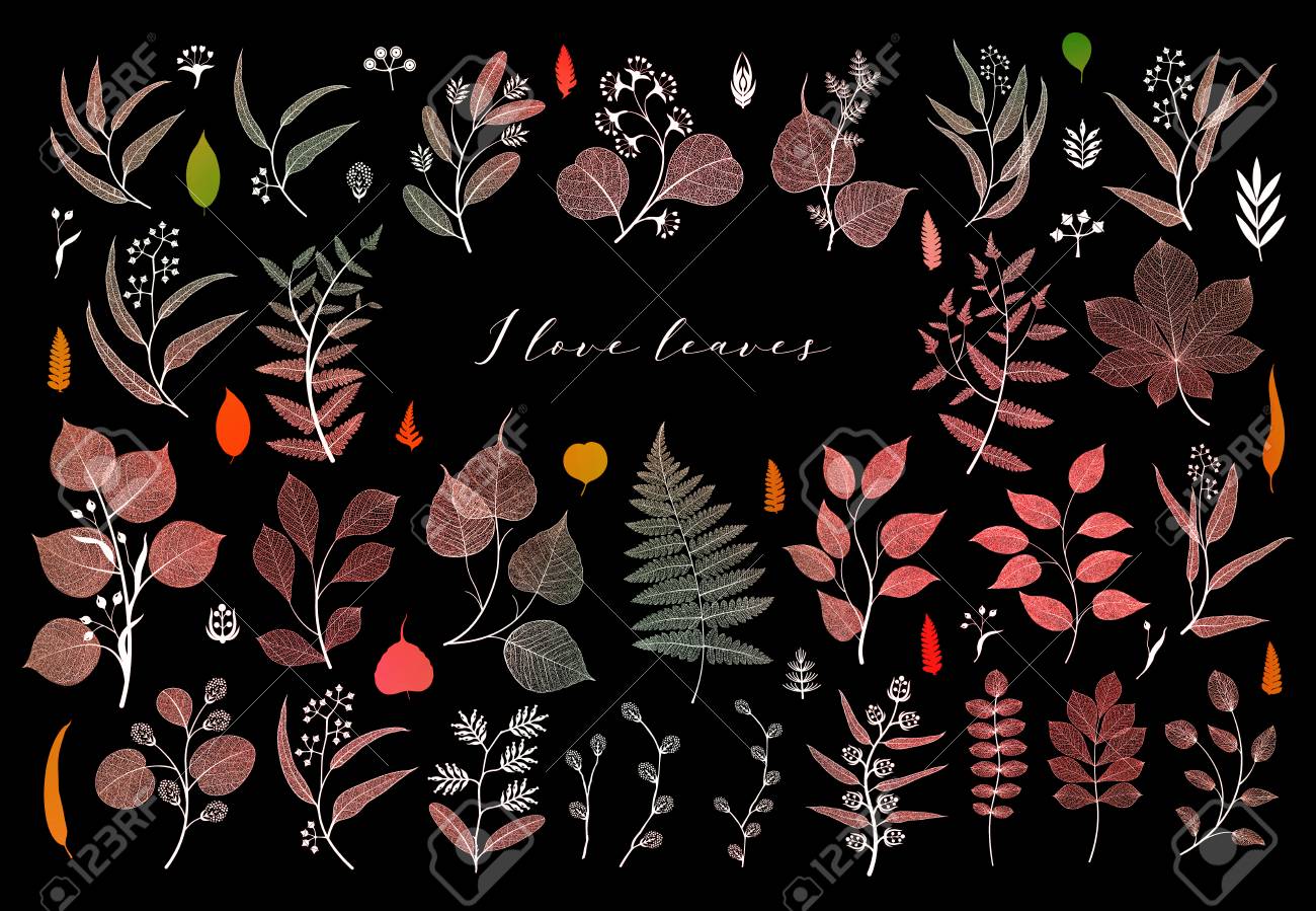 Branches and leaves, fall, spring, summer. Botanical illustration in bright colorful on black background - 109979421 Branches and leaves, fall, spring, summer. Botanical illustration in bright colorful on black background - 109979421