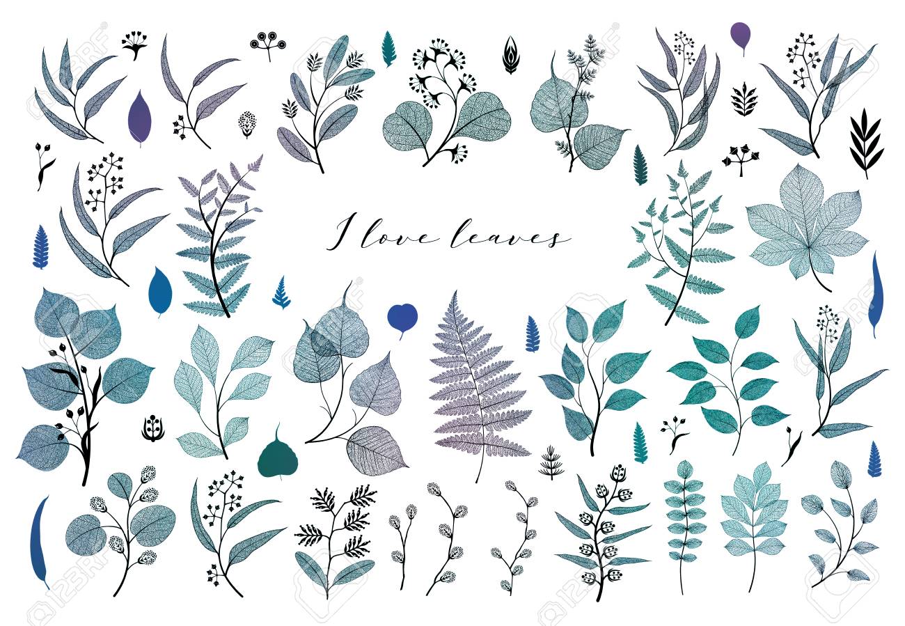 Branches and leaves, fall, spring, summer. Vintage botanical illustration, floral elements in blue color design - 109979424 Branches and leaves, fall, spring, summer. Vintage botanical illustration, floral elements in blue color design - 109979424
