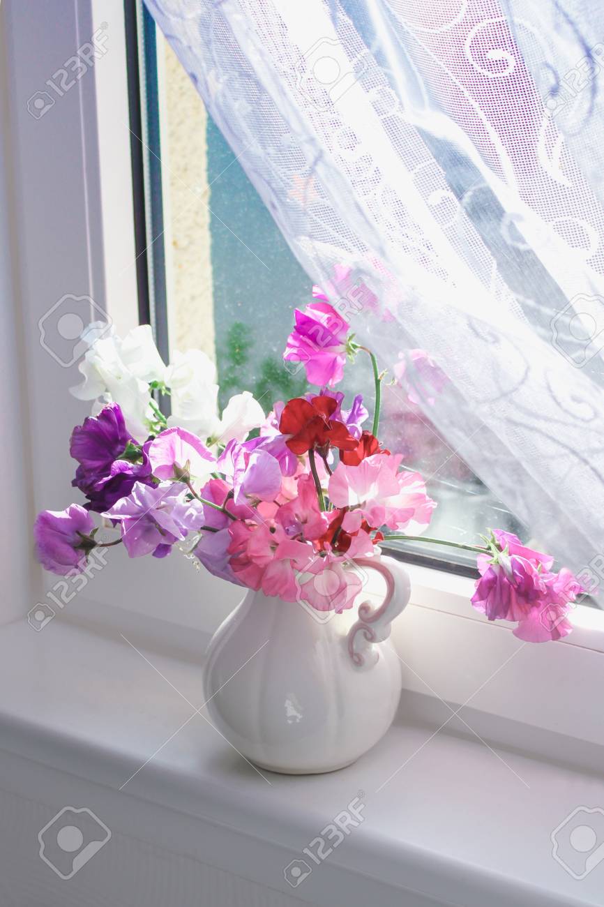 Sweet Pea Flowers In A Vase On The Window Sill With Delicate