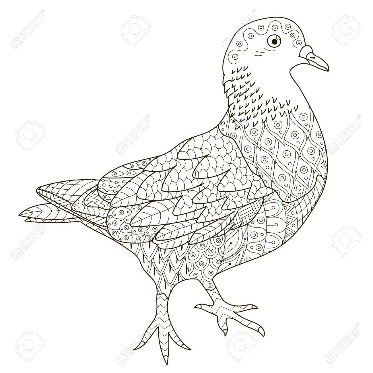 Stylized Pigeon For Coloring Page Royalty Free Cliparts Vectors And Stock Illustration Image 60919778