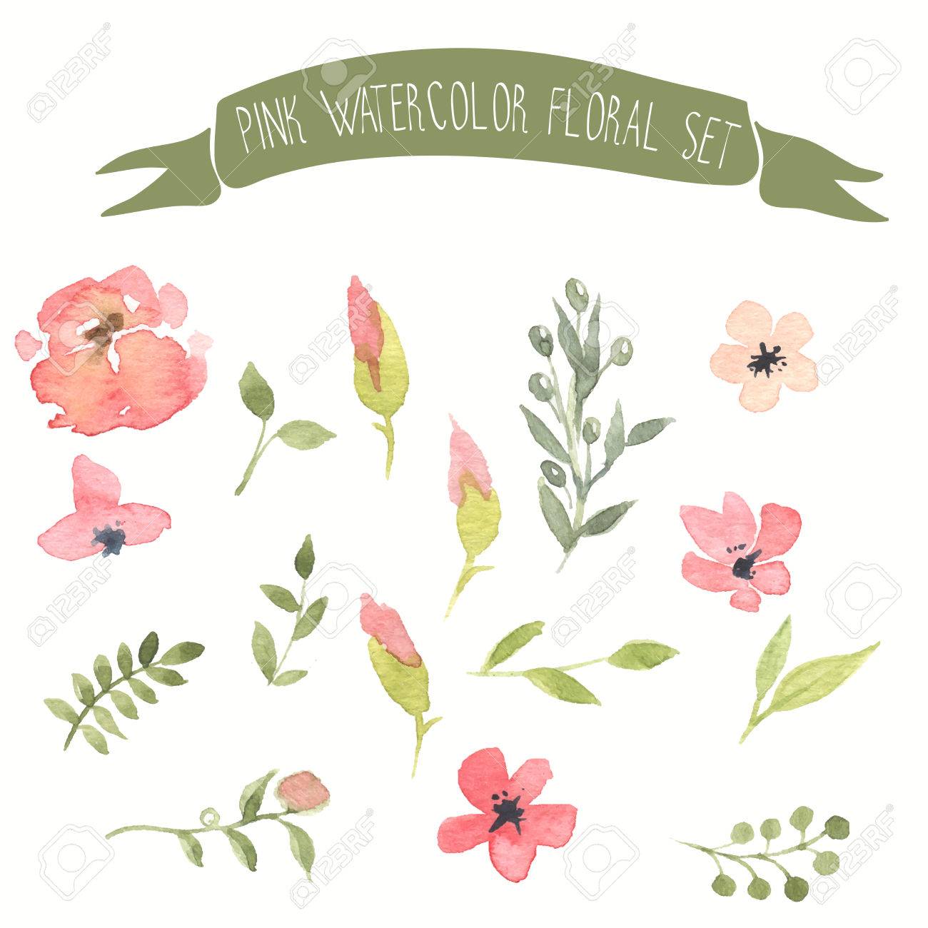 Pink Watercolor Vector Floral Set Royalty Free Cliparts Vectors And Stock Illustration Image Pink Watercolor Vector Floral Set Royalty Free Cliparts Vectors And Stock Illustration Image