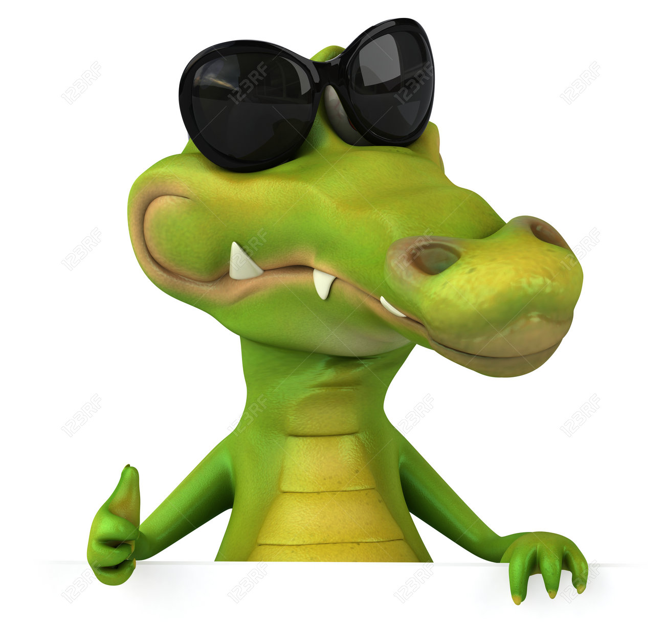 sunglasses alligator