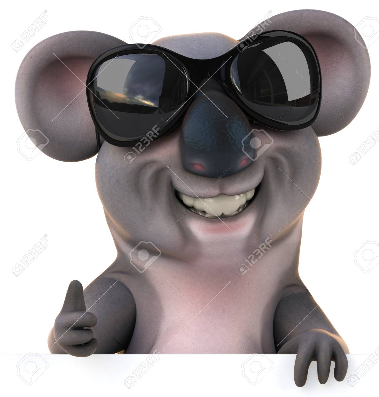 koala in sunglasses
