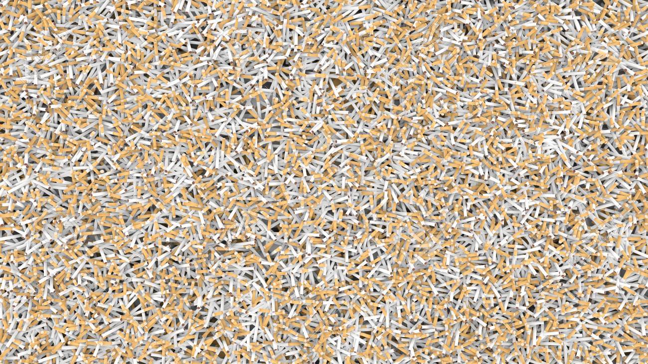 24729276-field-completely-covered-with-t