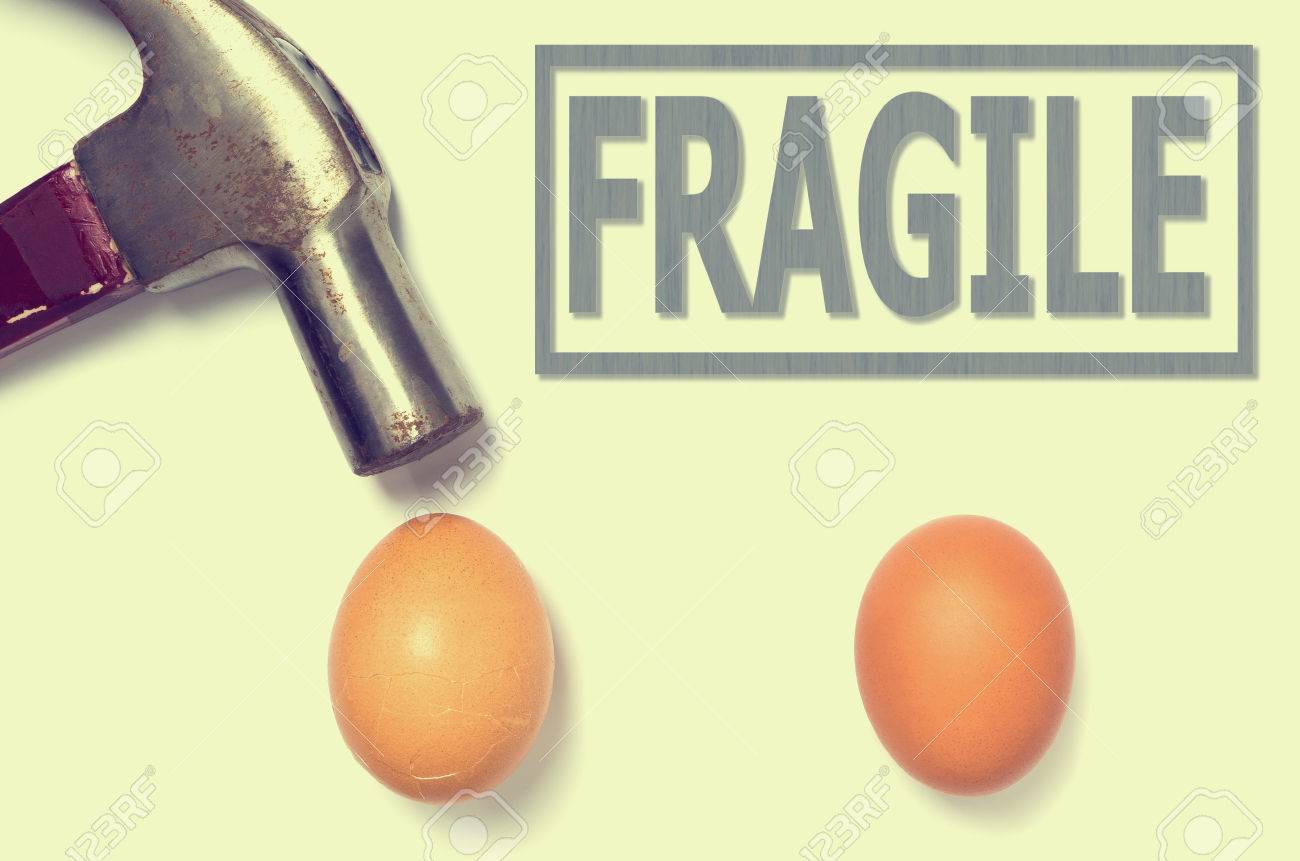The Fragile Egg