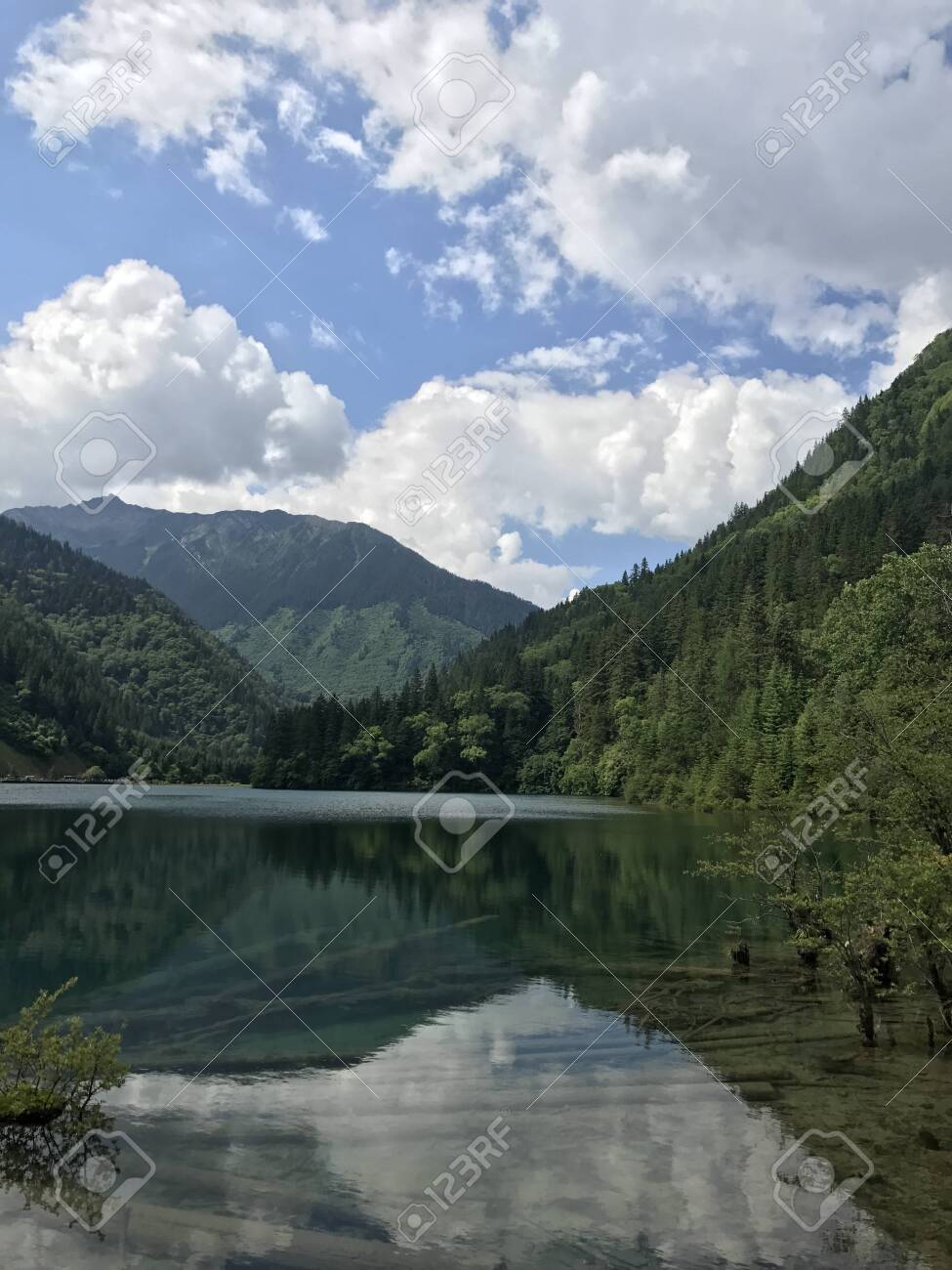 etiam-dictum-ipsum-a-felis