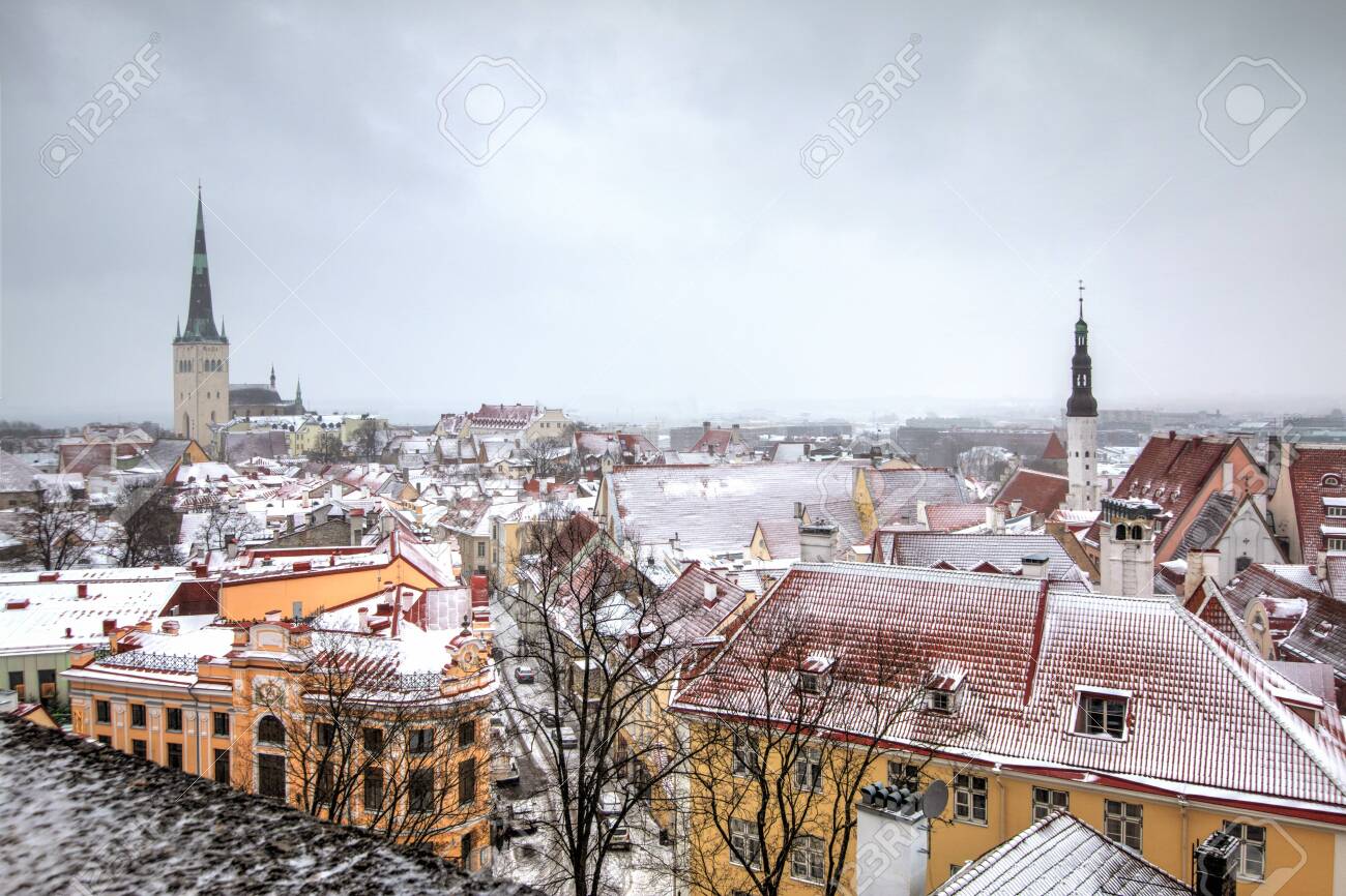 Risultati immagini per TALLIN