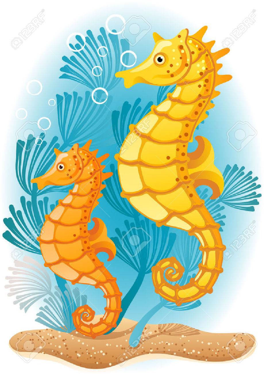 ベクトル イラスト 海底上の 2 つのタツノオトシゴのイラスト素材 ベクタ Image 466