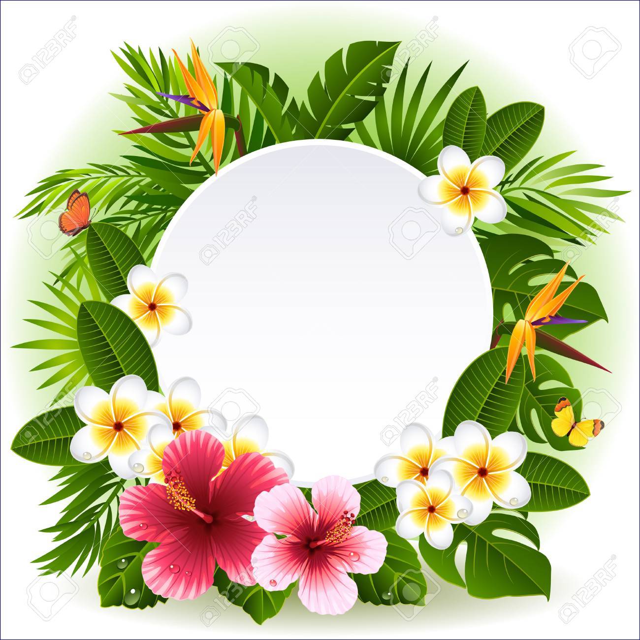 Tropical Flowers And Plants Royalty Free SVG, Cliparts, Vectors, and Stock  Illustration. Image 29429586., image size:1300x1300
