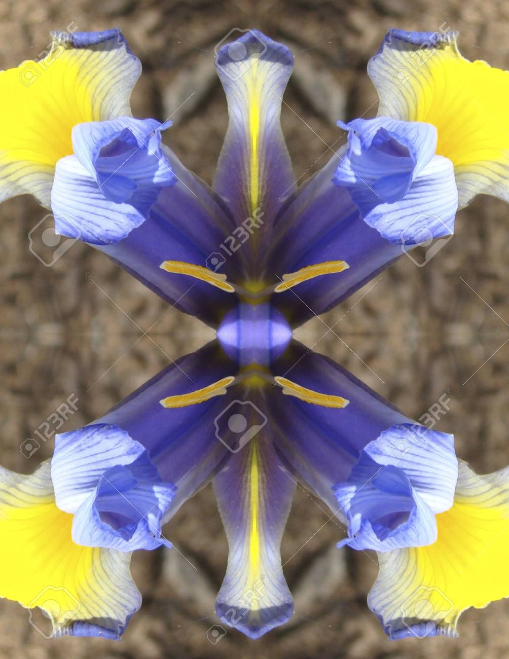 etiam-dictum-ipsum-a-felis