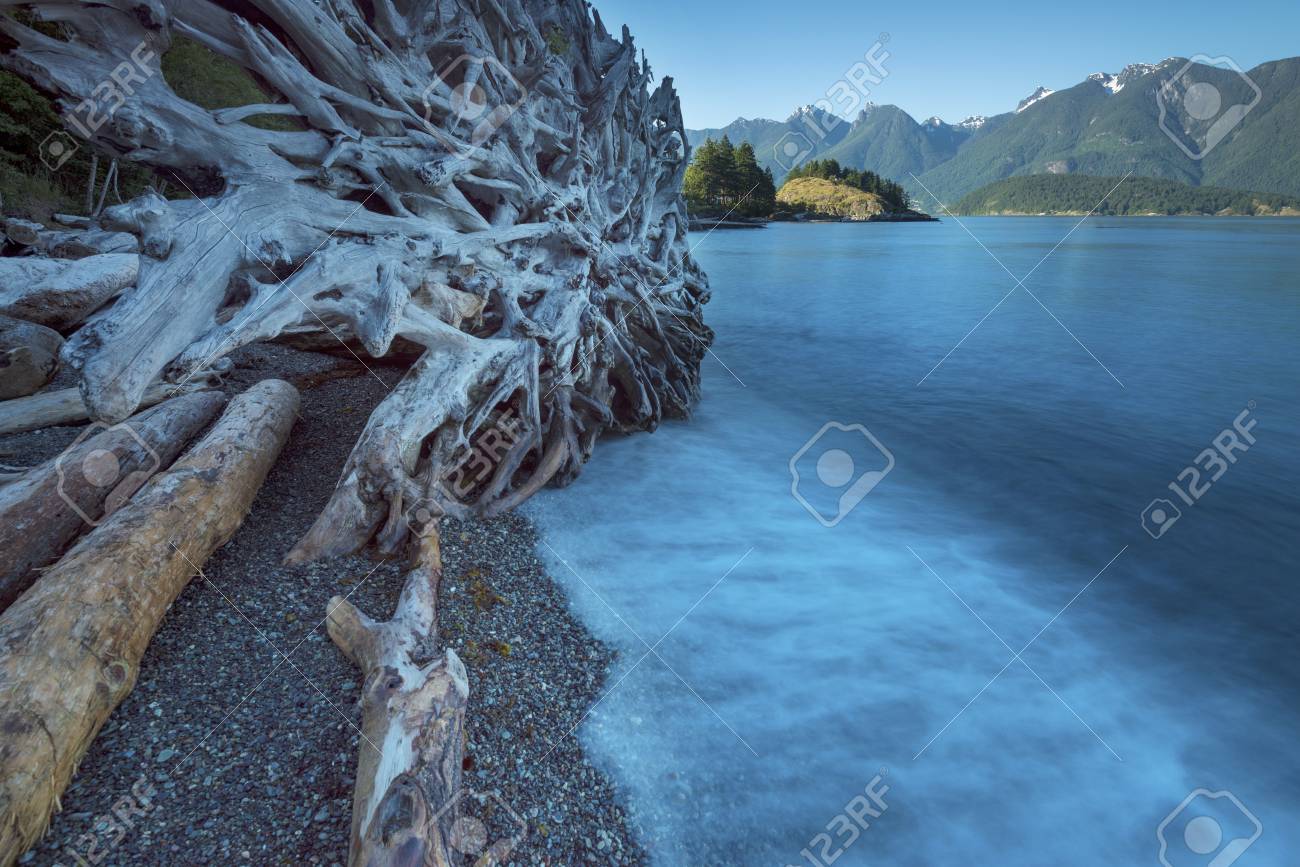 島日没のボーウェン島セイリッシュ海太平洋北西部 の写真素材 画像素材 Image 島日没のボーウェン島セイリッシュ海太平洋北西部 の写真素材 画像素材 Image