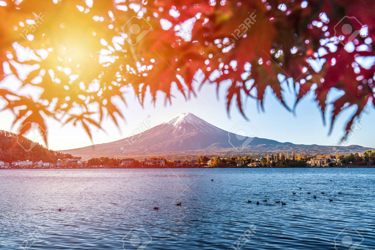 色鮮やかな風景画 000015 J-STAGE スタンダード レギュラータイプ専用 背面デザインシート