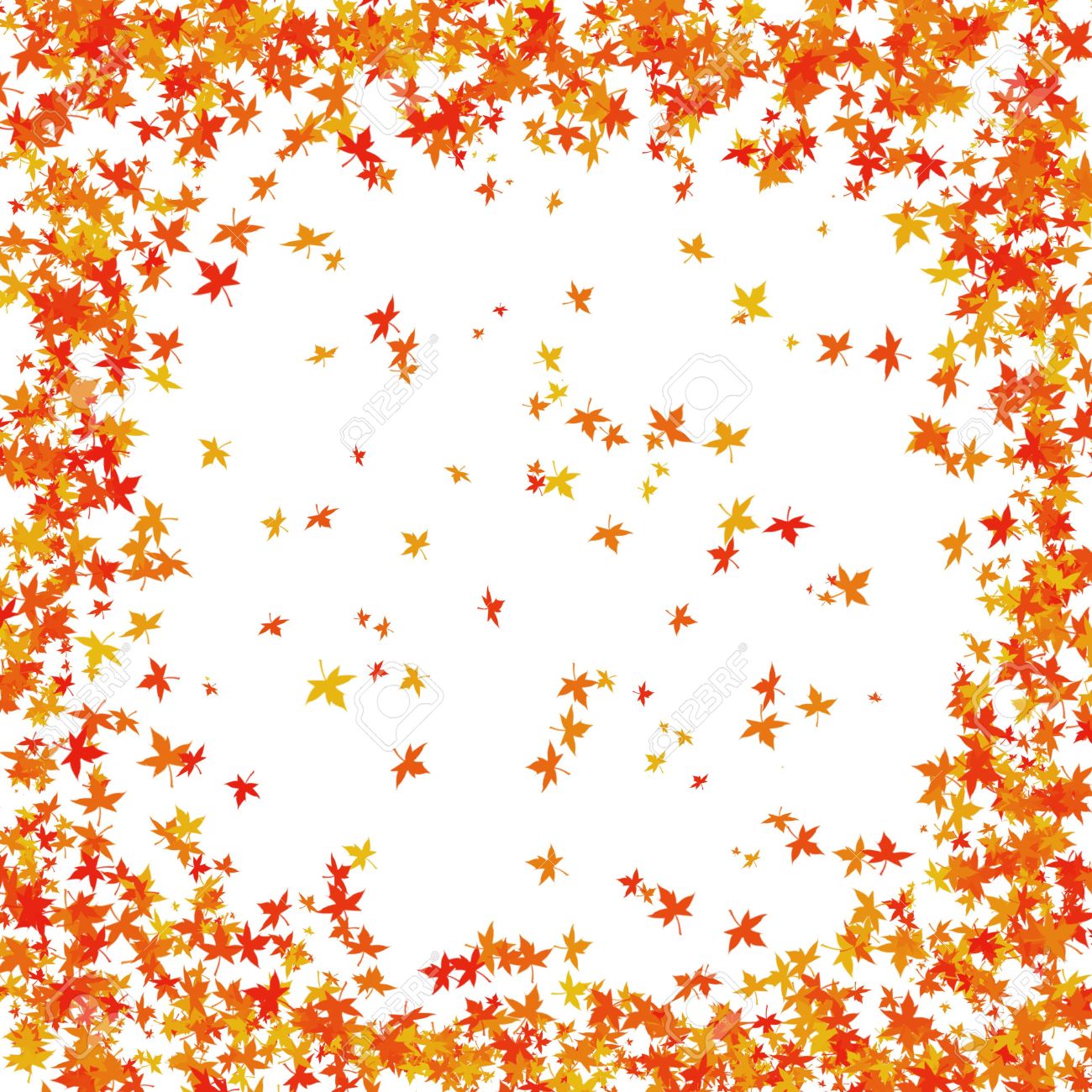 fall leaves border stock photo picture and royalty free image