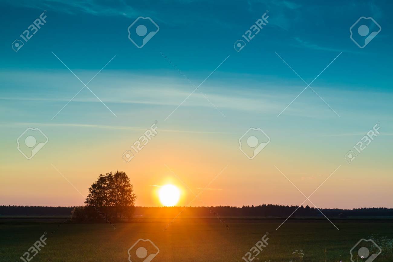 真夏の太陽を設定します美しくバーチの木のグループの背後にあるフィンランド北部の真夏の の写真素材 画像素材 Image