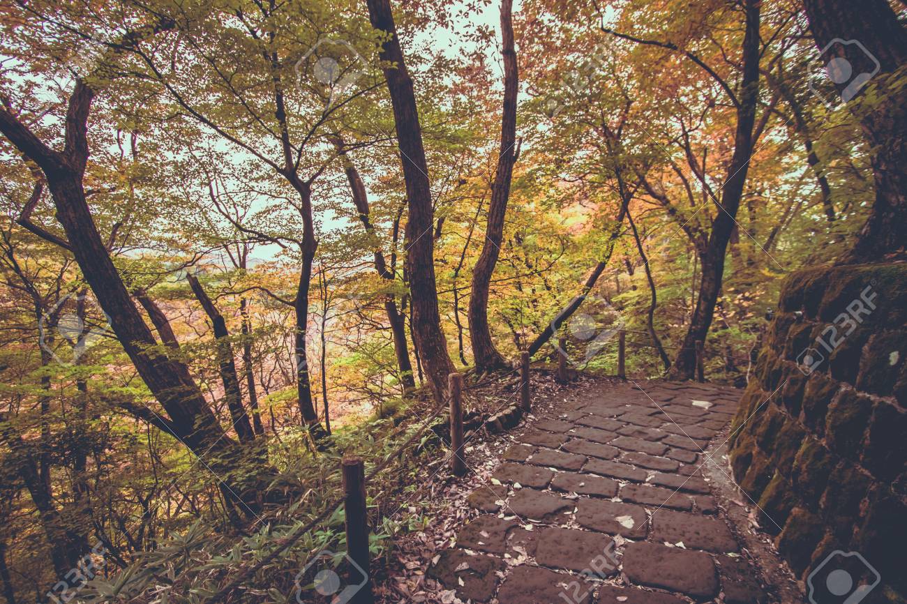 walkway path on nyoho mt with japanese maple leaf kirifuri stock