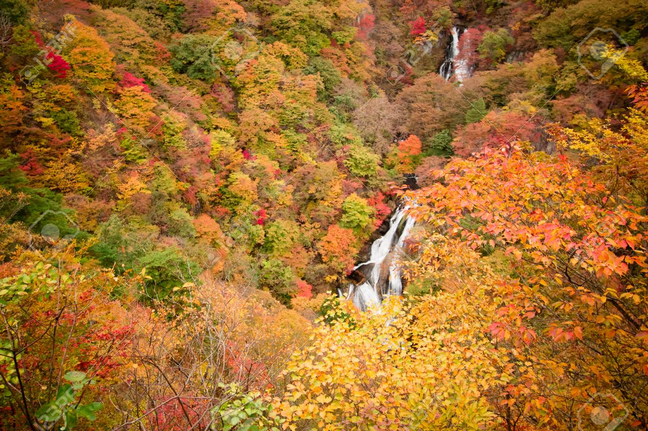 view of japanese maple leaf on nyoho mt with kirifuri waterfalls