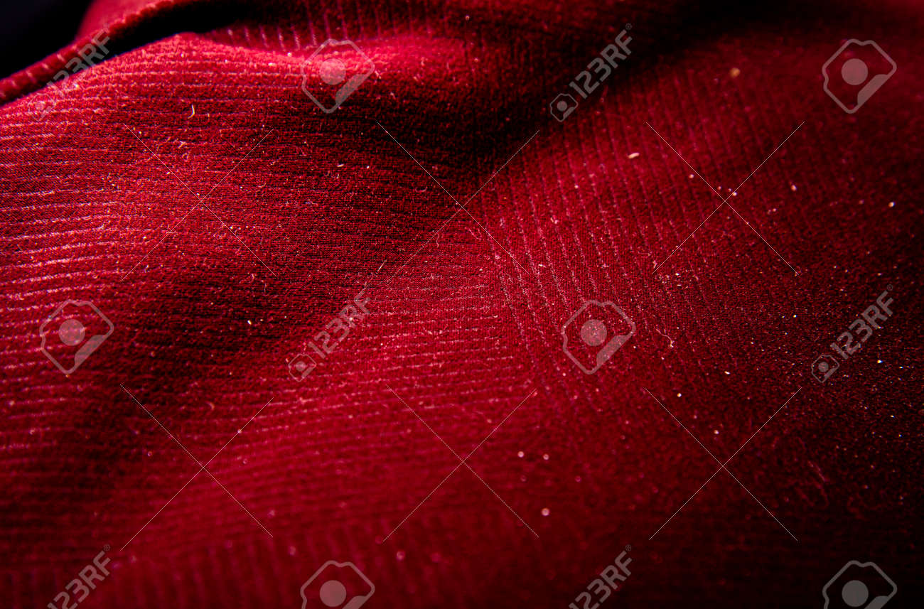 etiam-dictum-ipsum-a-felis