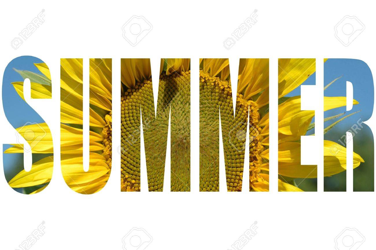 summer word with sunflower texture stock photo picture and royalty
