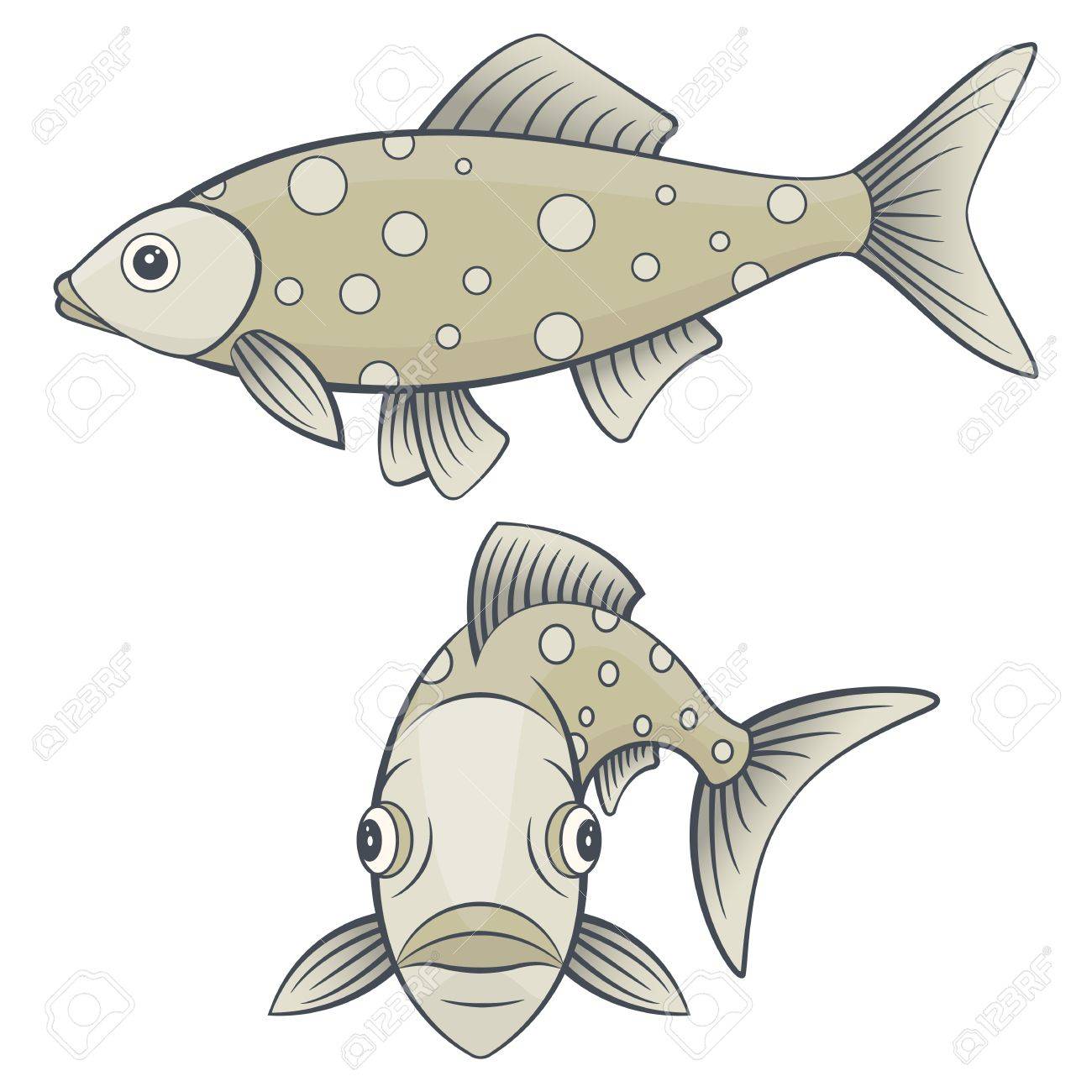 川や海の魚のセットです 顔全体と側は 海洋動物を表示します 海の生き物の写真を分離 のイラスト素材 ベクタ Image 川や海の魚のセットです 顔全体と側は 海洋動物を表示します 海の生き物の写真を分離 のイラスト素材 ベクタ Image