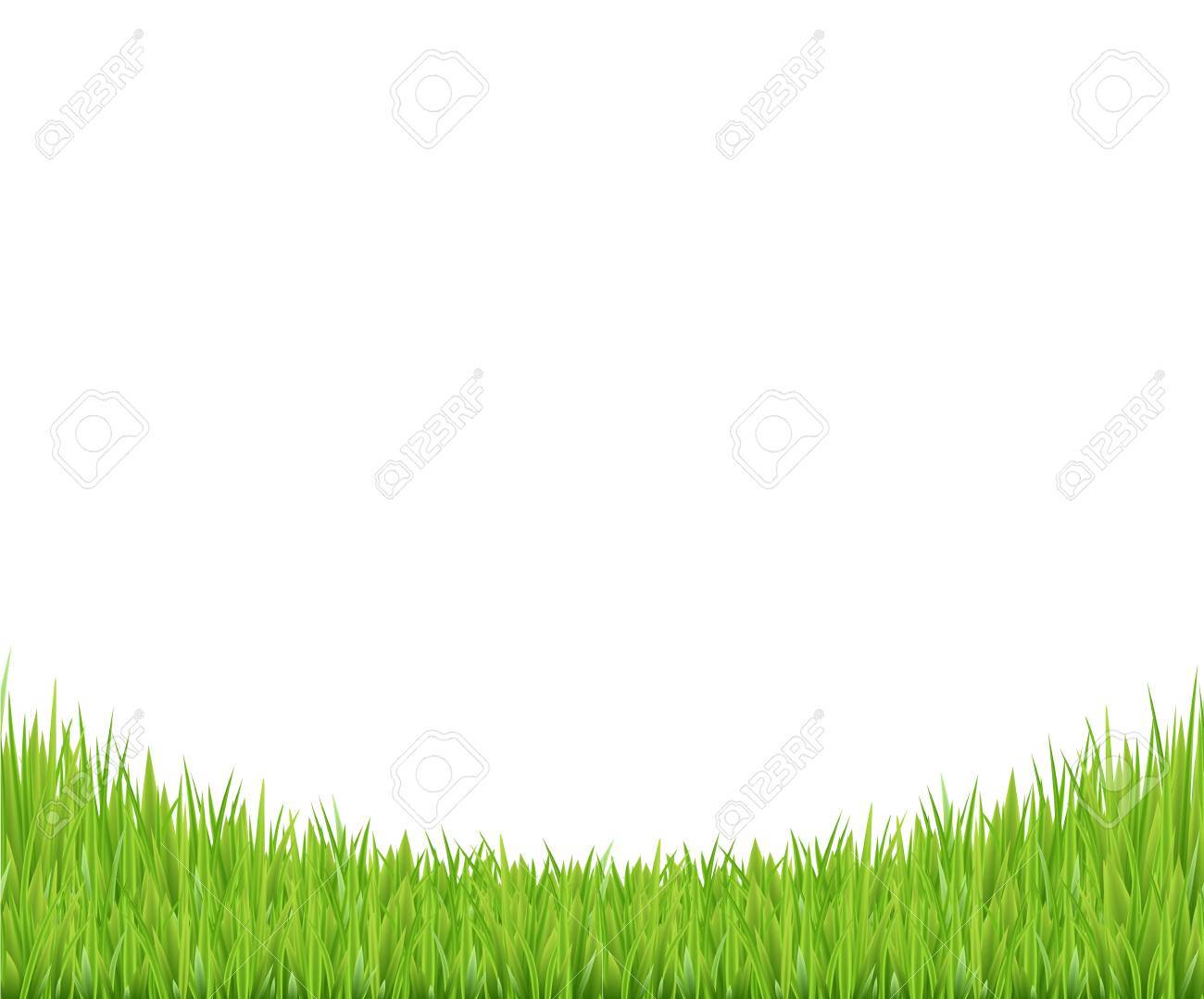 緑の芝生の境界線 ベクトル イラスト のイラスト素材 ベクタ Image