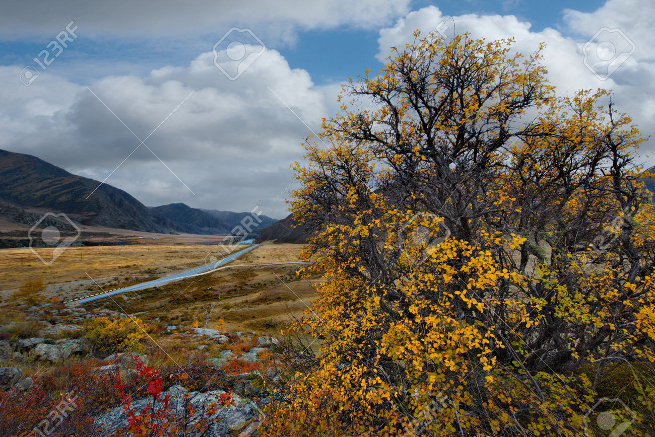 Russia. South Of Western Siberia. mountain Altai. Autumn colors of mountain valleys along the Chui tract. - 160443665 Russia. South Of Western Siberia. mountain Altai. Autumn colors of mountain valleys along the Chui tract. - 160443665