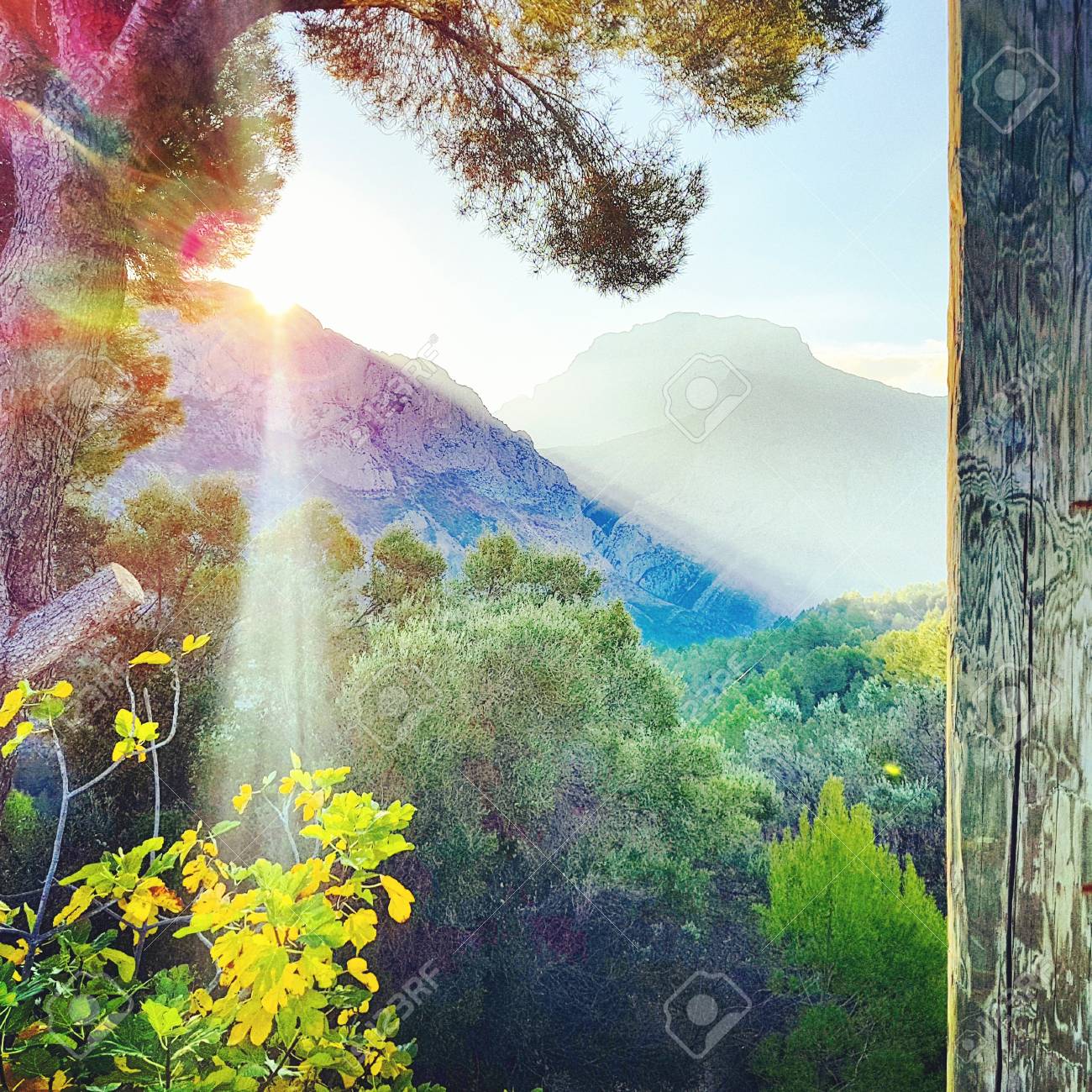 etiam-dictum-ipsum-a-felis