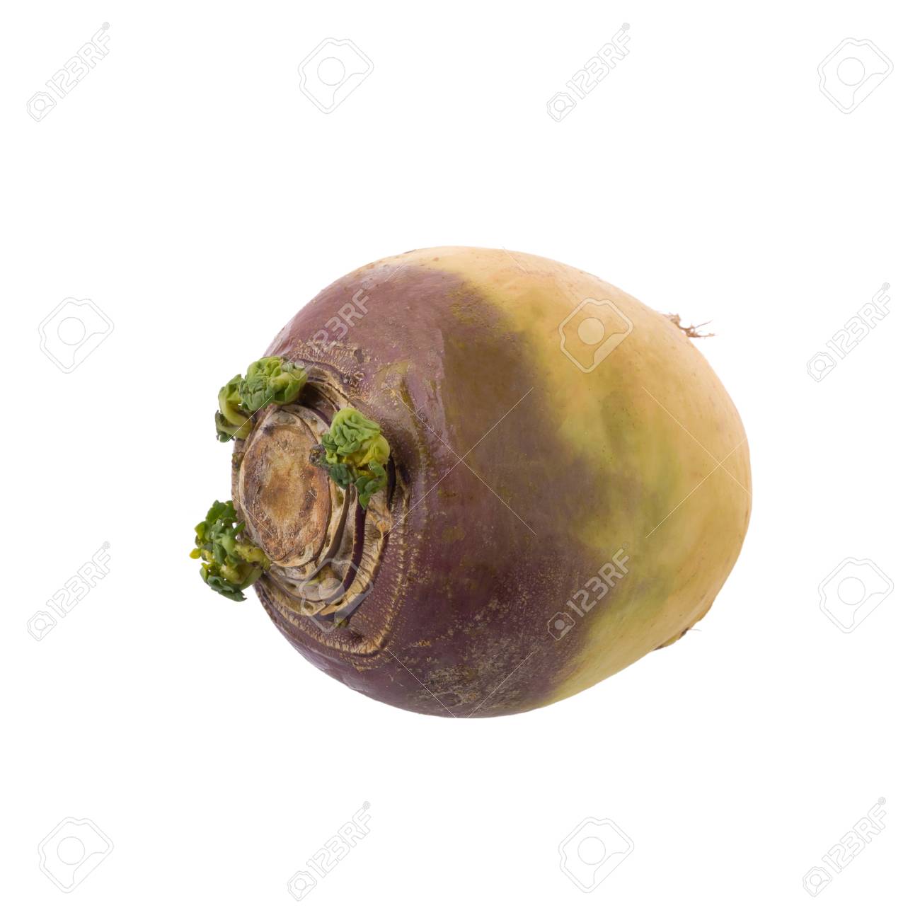 Swede Swede