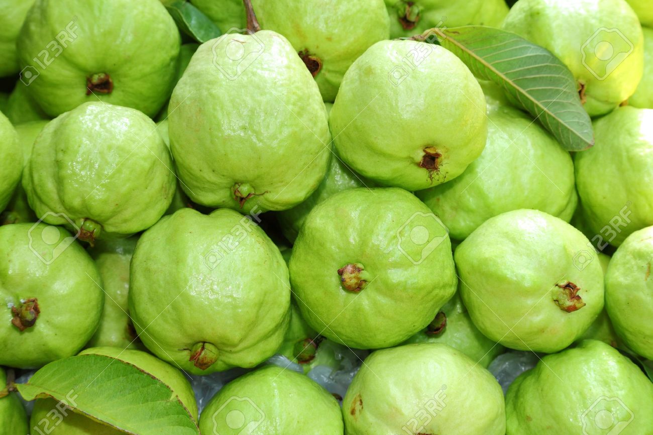 Fresh and green Guava fruit was sale in Thailand market - 15426056 Fresh and green Guava fruit was sale in Thailand market - 15426056