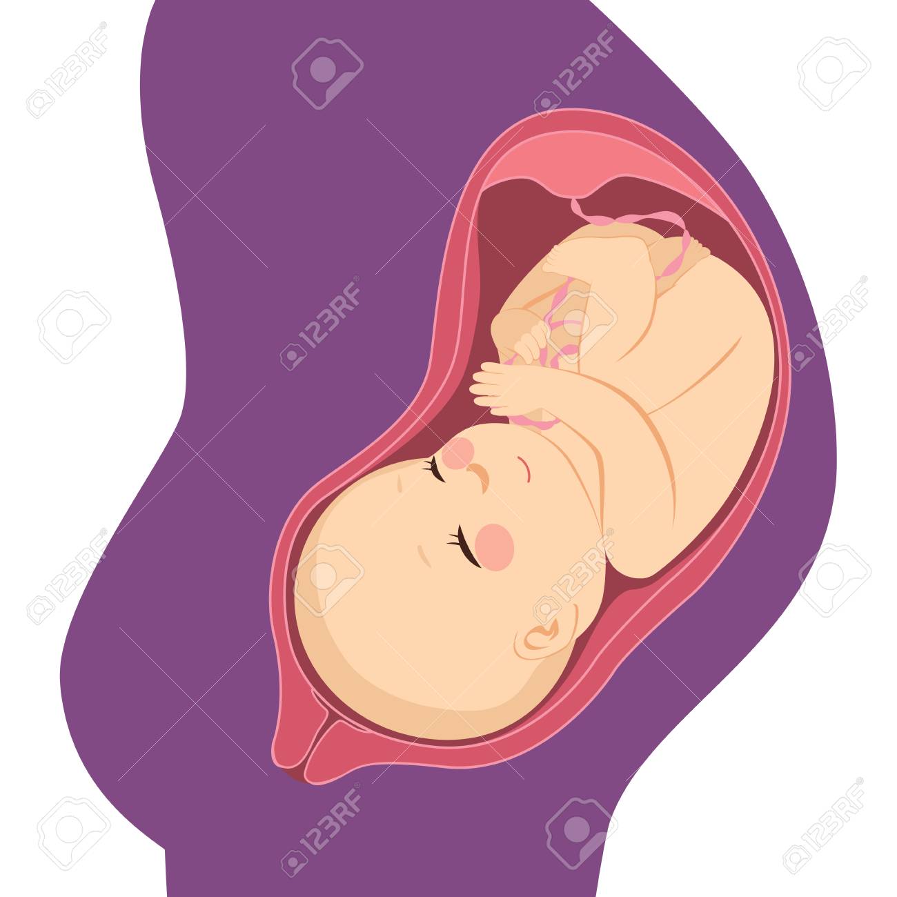 Dessin Bebe Dans Le Ventre De Maman Foetus De Bébé À Naître Humain Sur Le Ventre De Maman. Clip Art Libres De Droits, Svg, Vecteurs Et Illustration. Image 92952849