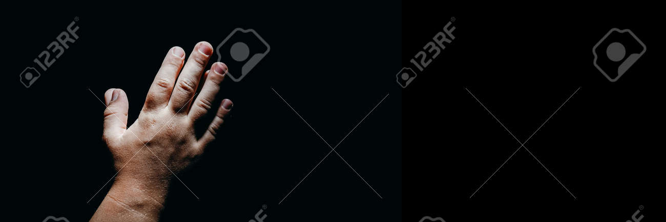 etiam-dictum-ipsum-a-felis