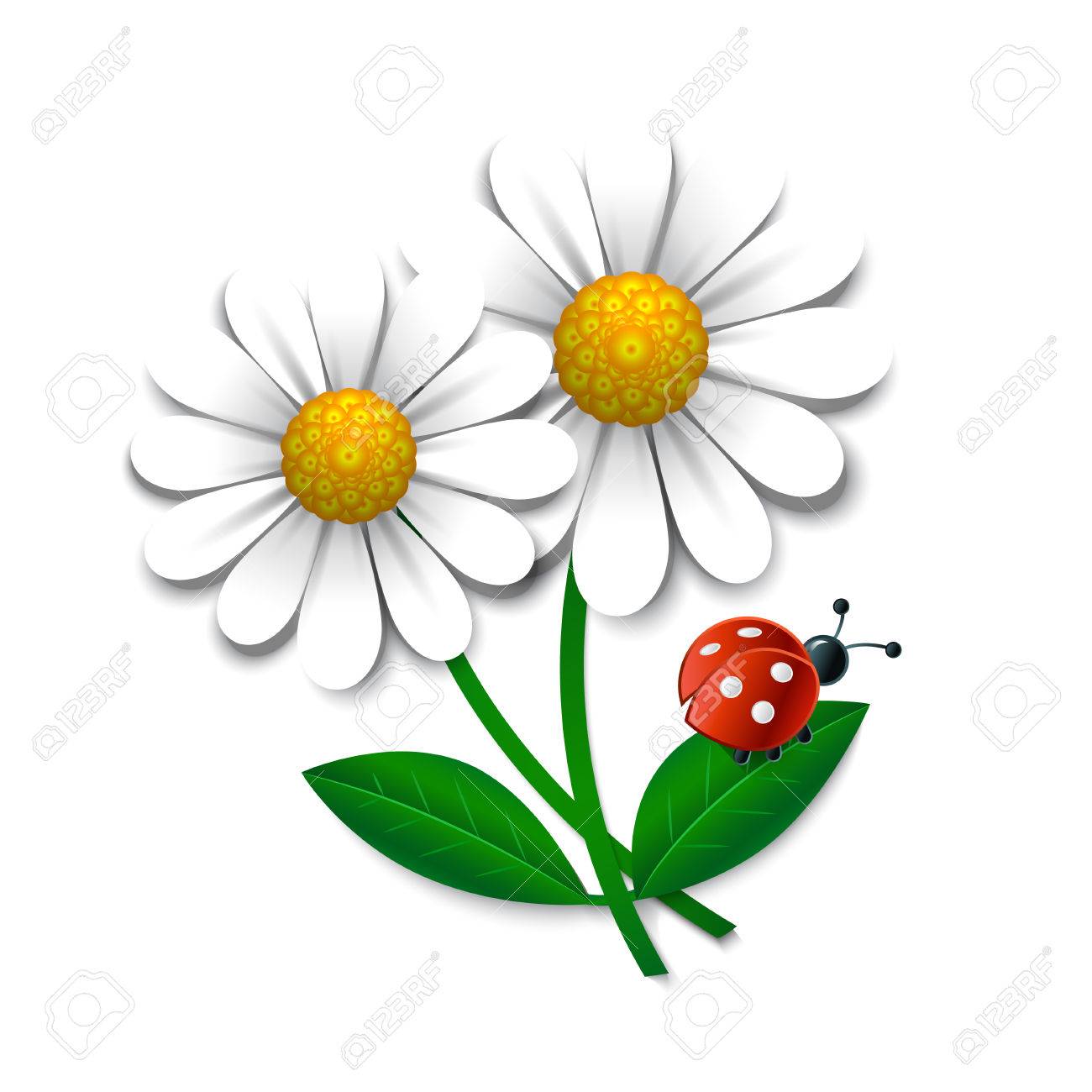 ladybugdesign