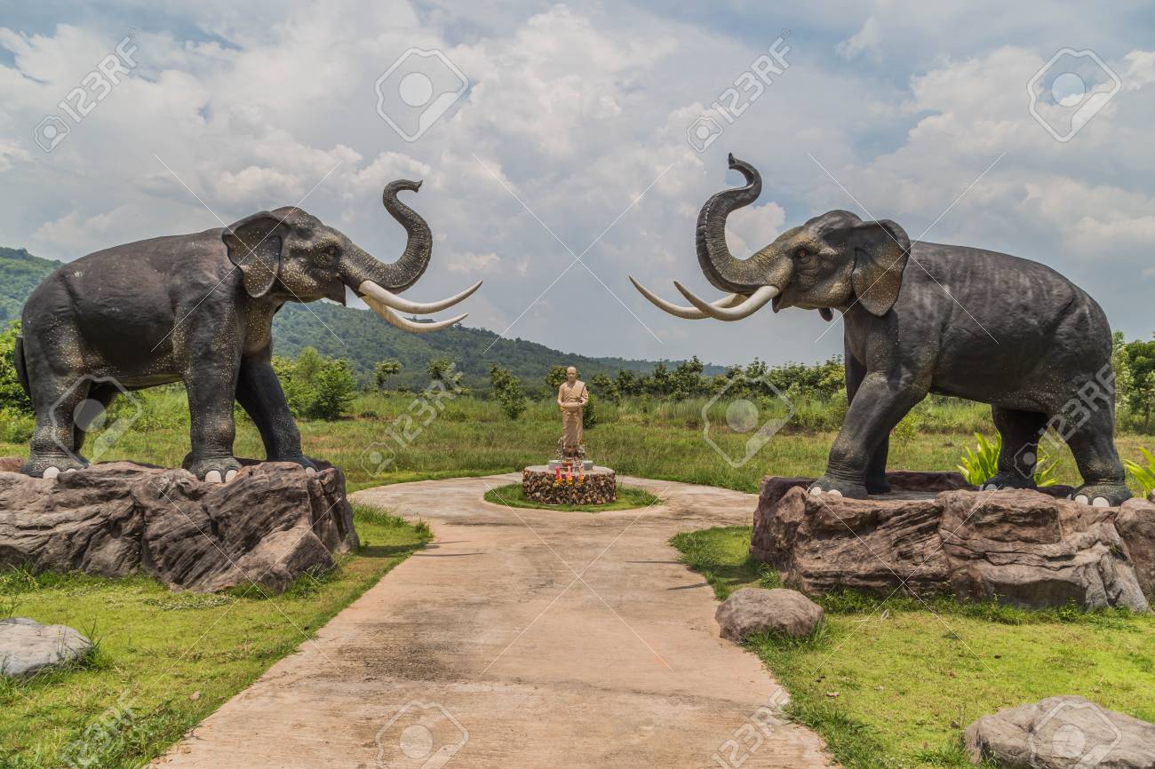 Immagini Stock Gli Elefanti Sono I Piu Grandi Animali Terrestri Oggi Prendete Una Gravidanza Fino A 22 Mesi Che E La Piu Lunga Degli Animali Terrestri Di Ogni Genere Elefante Neonato