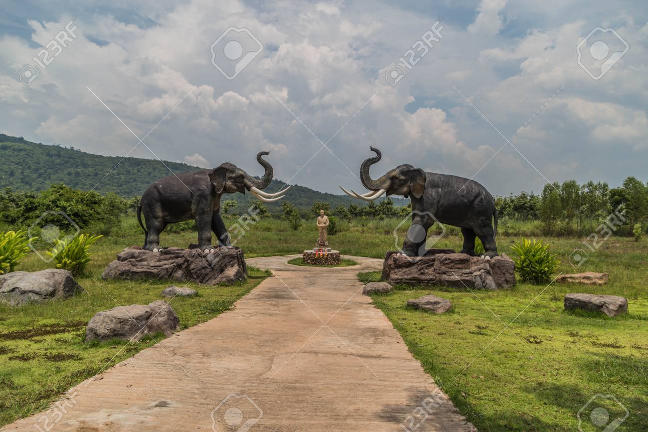 Immagini Stock Gli Elefanti Sono I Piu Grandi Animali Terrestri Oggi Prendete Una Gravidanza Fino A 22 Mesi Che E La Piu Lunga Degli Animali Terrestri Di Ogni Genere Elefante Neonato