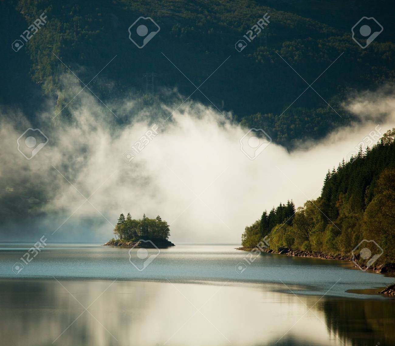 etiam-dictum-ipsum-a-felis