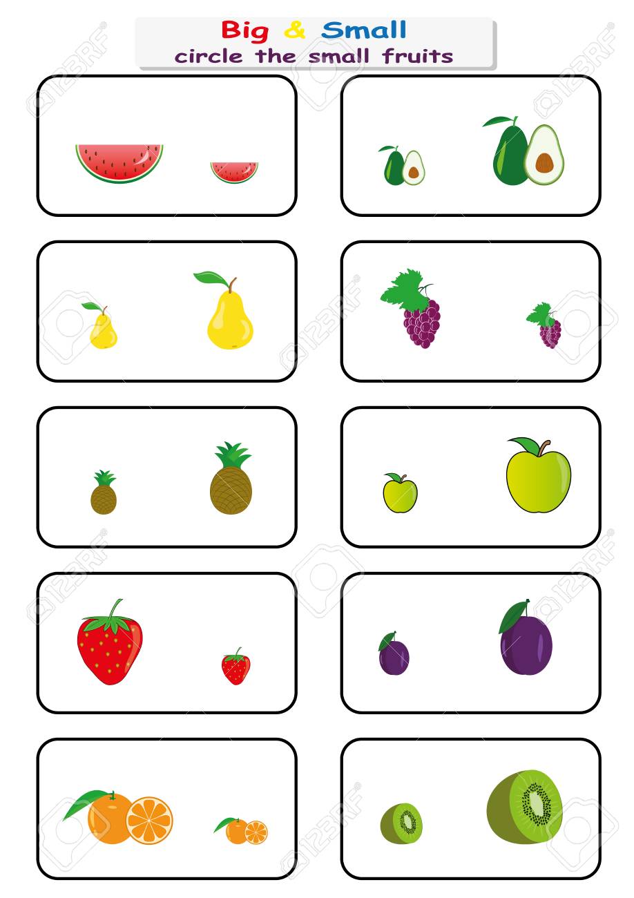 circle the small fruits find big or small worksheet for kindergarten kids opposite page royalty free cliparts vectors and stock illustration image 102970363