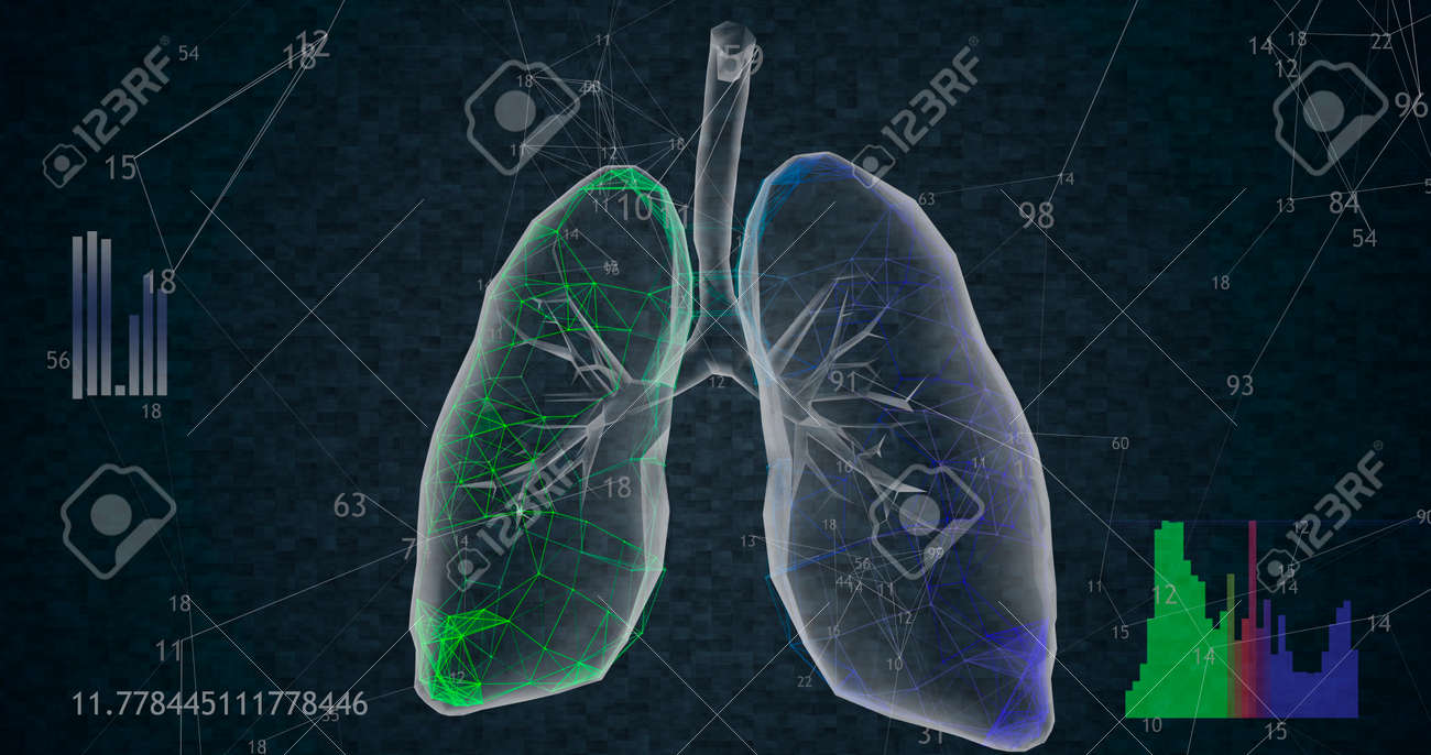 Rotating 360 low polygonal lungs 3D model on black background with animated increasing numbers and diagrams. 3D illustration - 165178064 Rotating 360 low polygonal lungs 3D model on black background with animated increasing numbers and diagrams. 3D illustration - 165178064