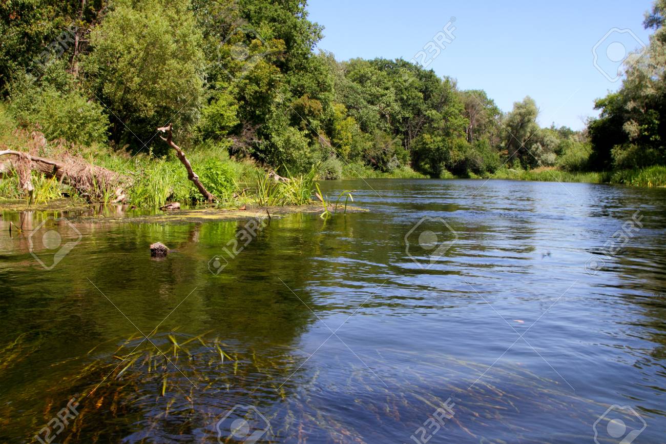 river algae in the