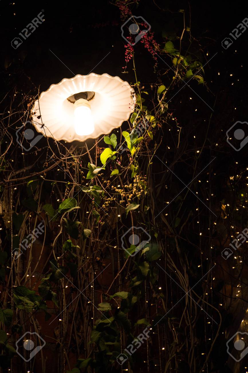 Lamp And Solar Powered String Fairy Lights Outdoor Garden