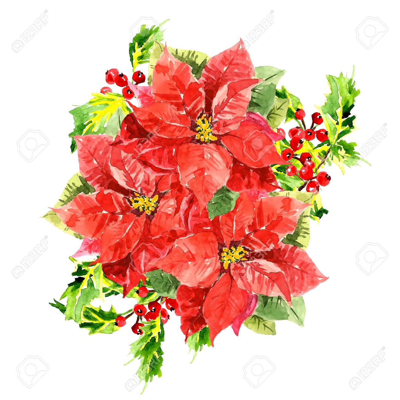New Years Foliage >> Three Watercolor Hibiscus With Foliage And Viburnum New Year New Years Foliage >> Three Watercolor Hibiscus With Foliage And Viburnum New Year