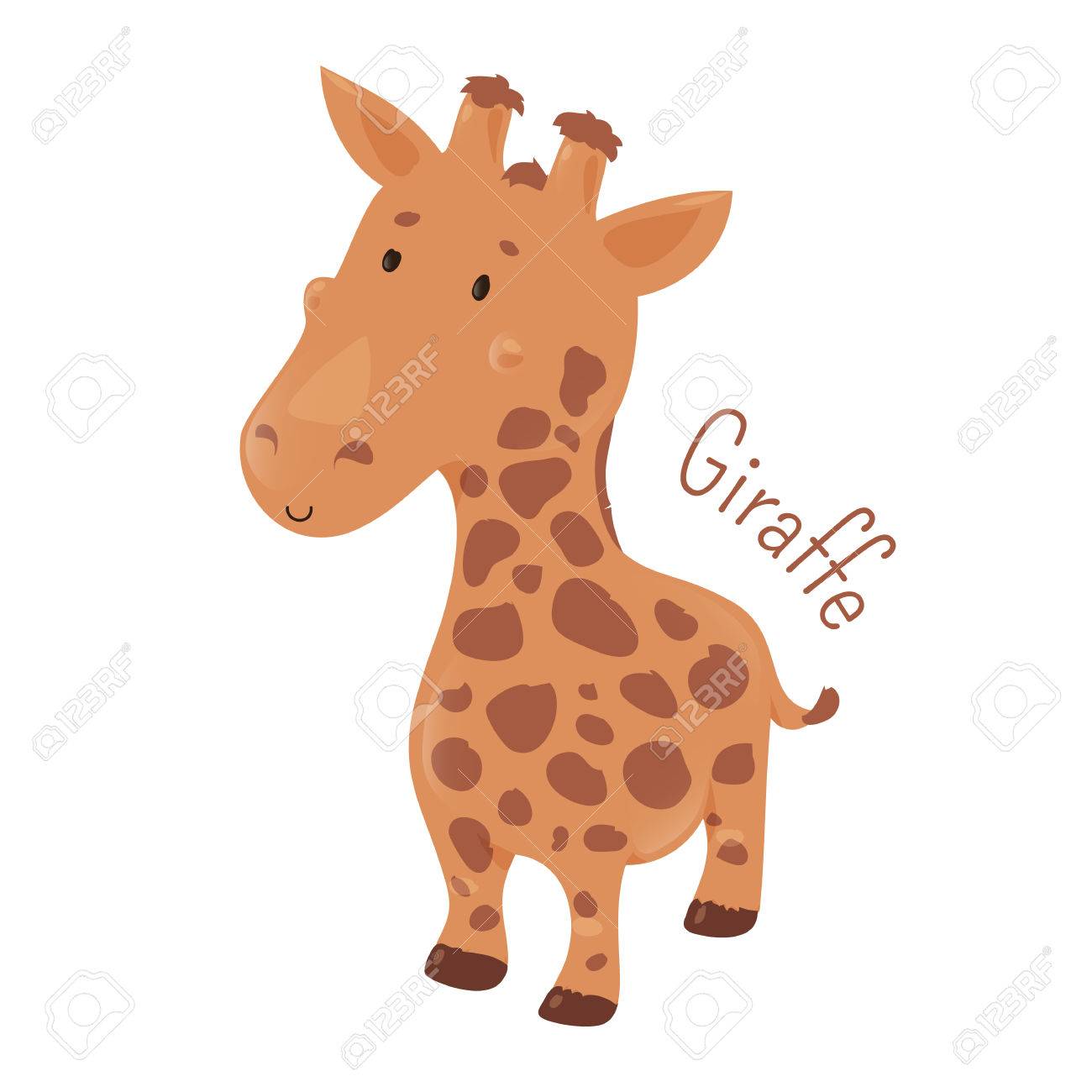 Jirafa Aislado Giraffa Camelopardalis Africana Mamiferos Ungulados Artiodactilos El Mas Alto Terrestre Y Los Rumiantes Mas Grande Parte De La Serie De Dibujos Animados De Las Especies Animales De La Sabana Ninos