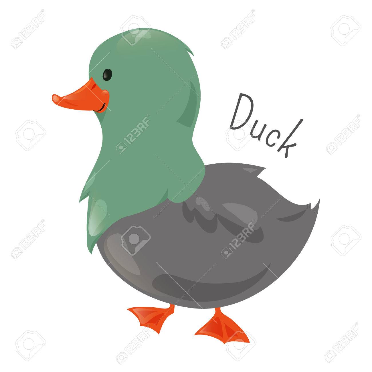 鴨の白で隔離 カモ 白鳥や雁などの水鳥家族の種の数 漫画家の動物のシリーズの一部 国内のペット 子供のためのステッカー 子供は楽しいアイコンです ベクトル のイラスト素材 ベクタ Image