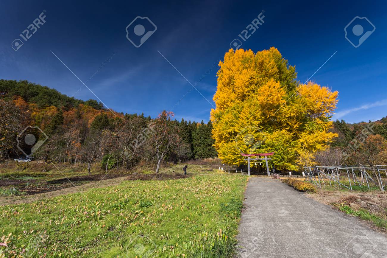 長野県飯山市風景 の写真素材 画像素材 Image