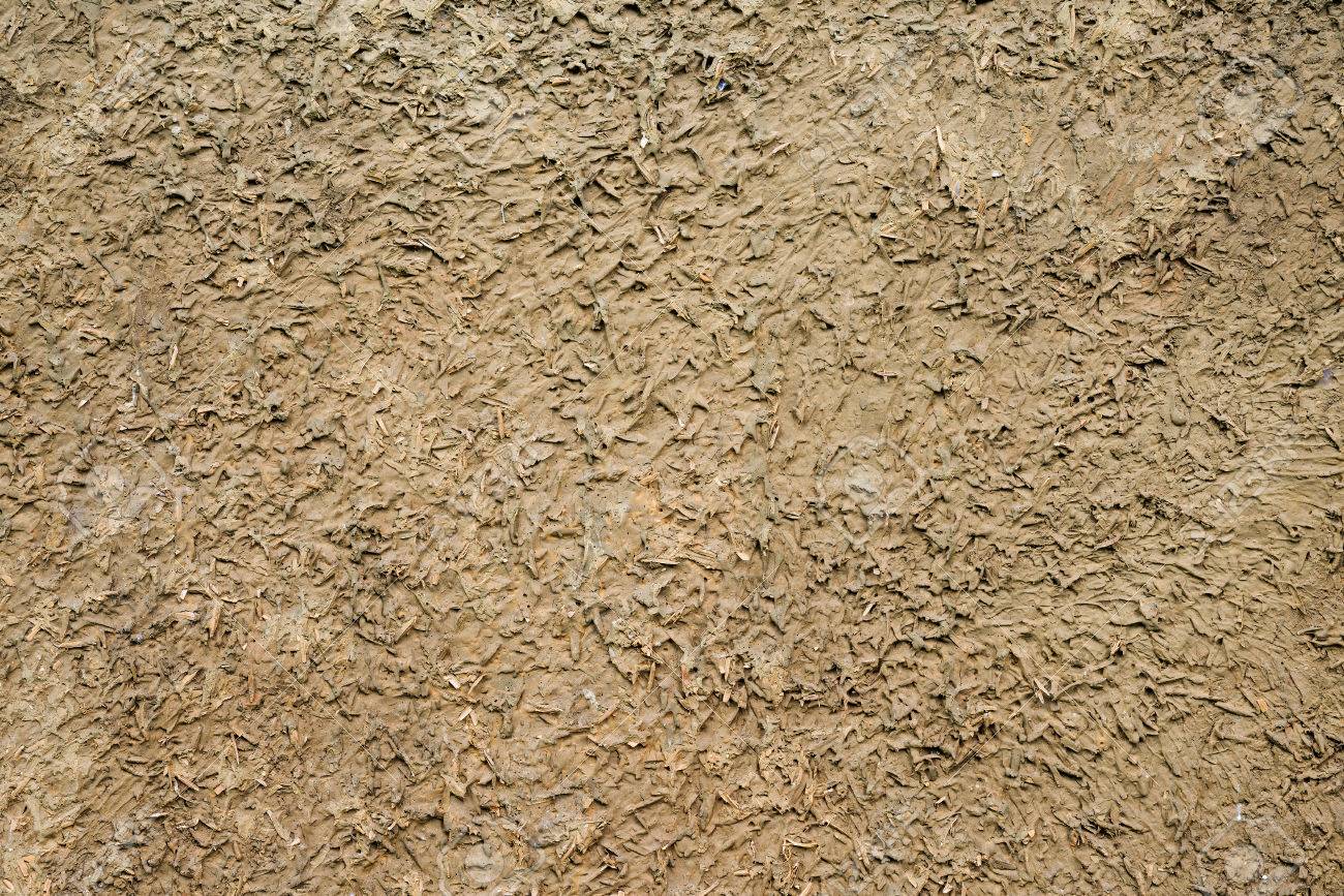 草と土の壁のテクスチャ の写真素材 画像素材 Image