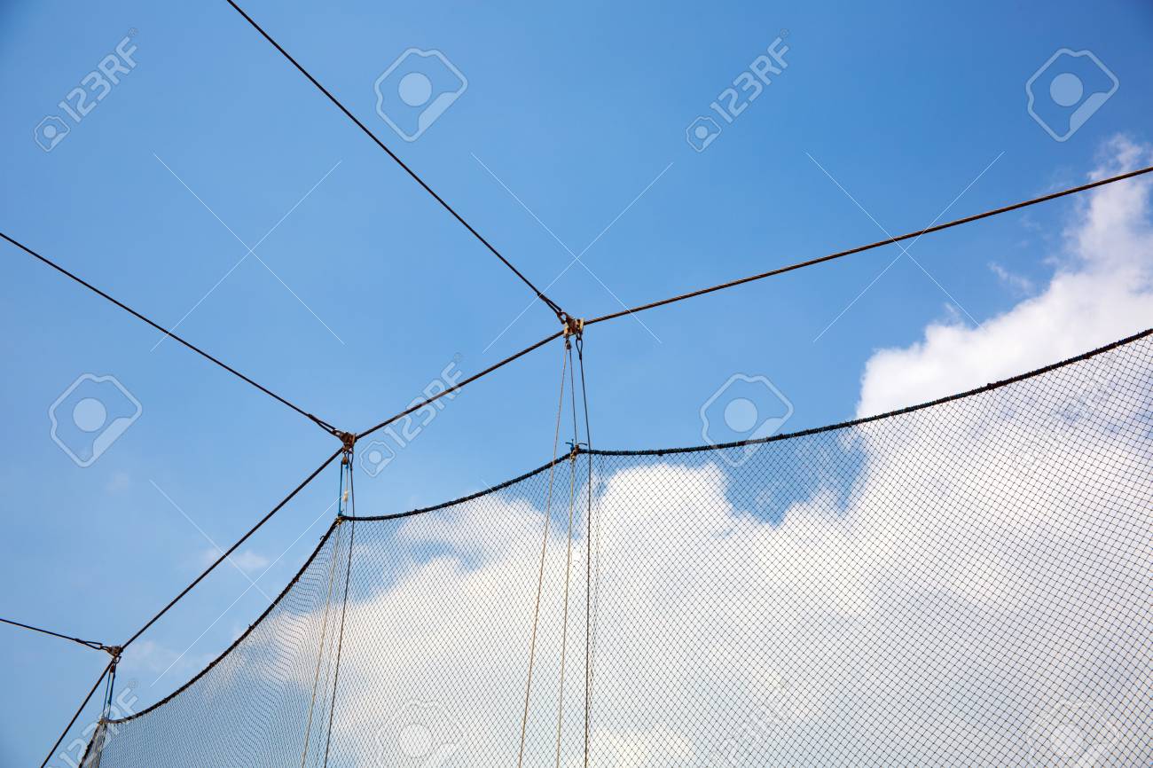 etiam-dictum-ipsum-a-felis