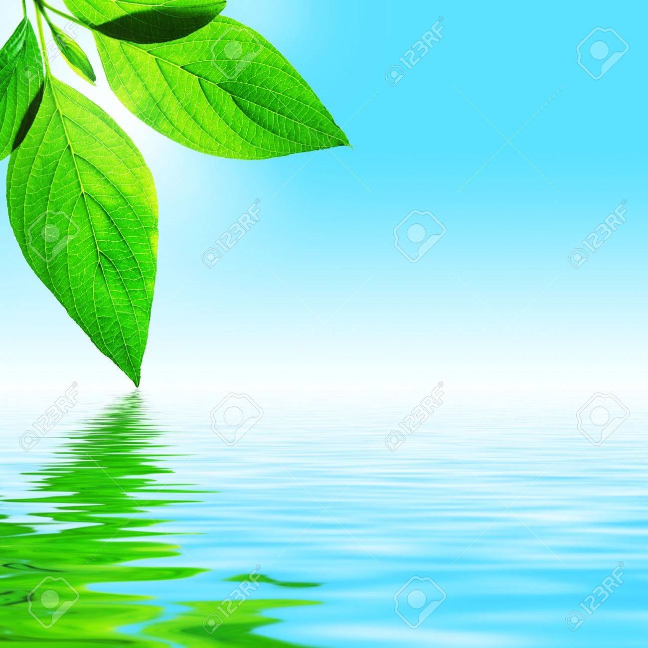 fresh leaf, blue sky and shine water surface (blank space for text) - 1192469 fresh leaf, blue sky and shine water surface (blank space for text) - 1192469