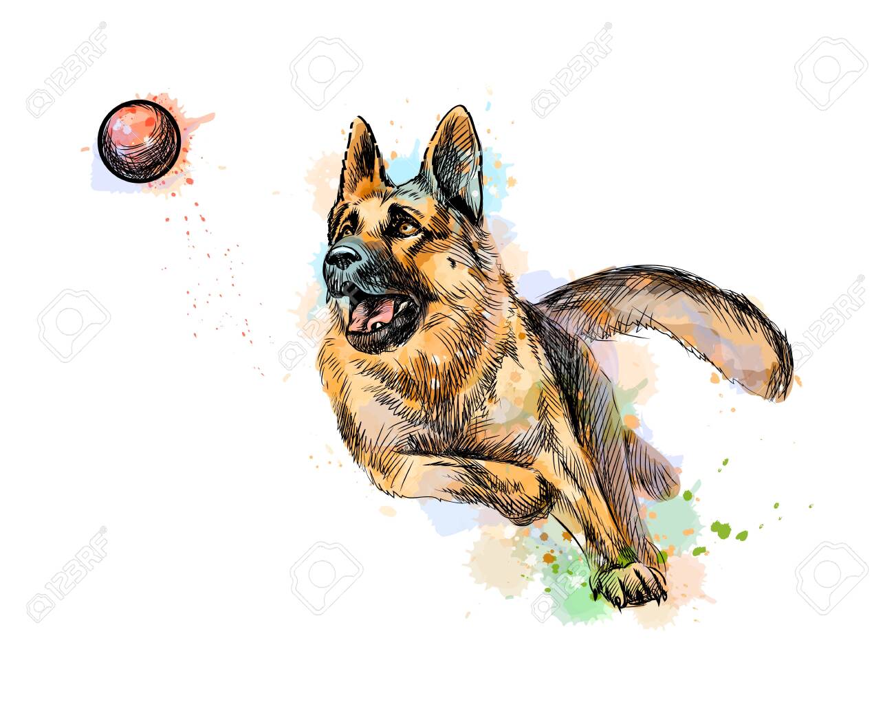 german shepherd balls