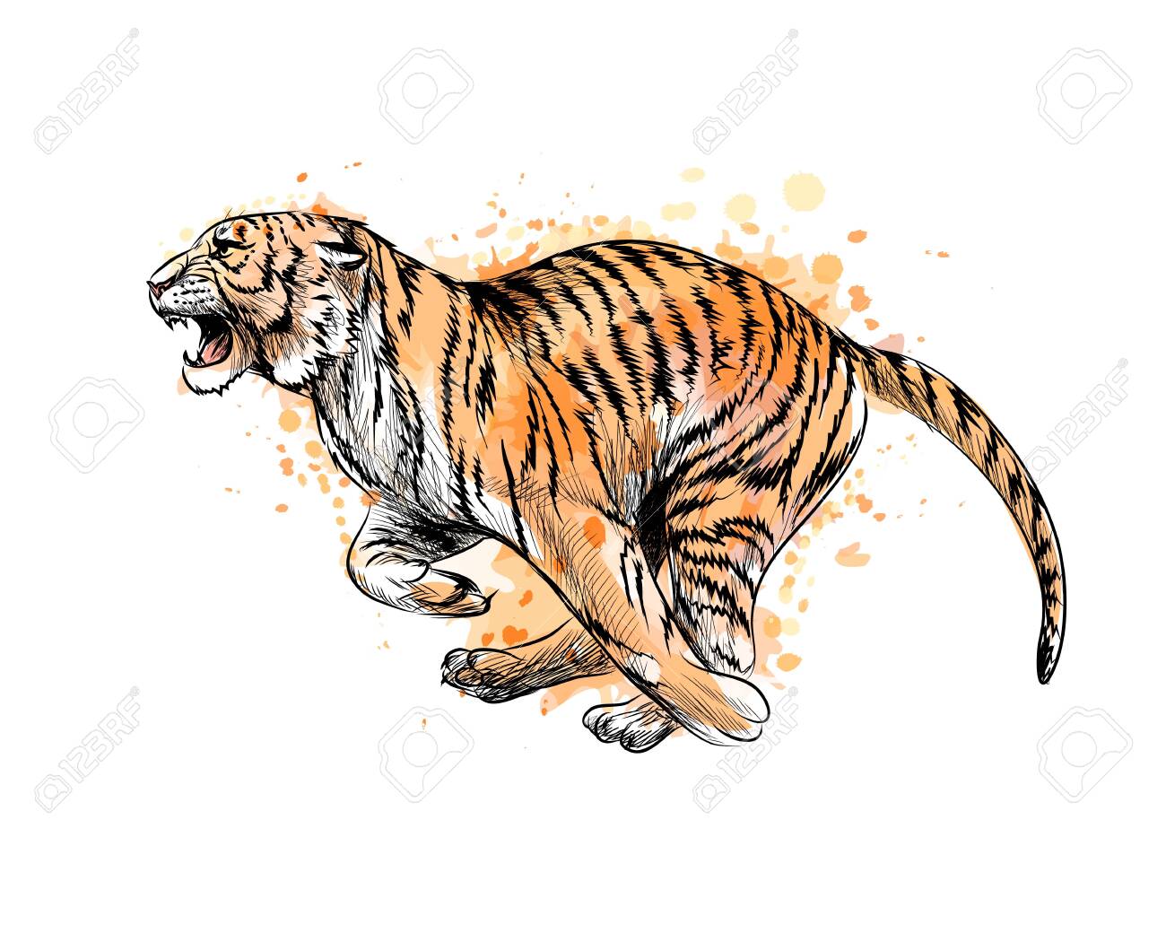 手書き 水彩画 虎 大きいサイズ